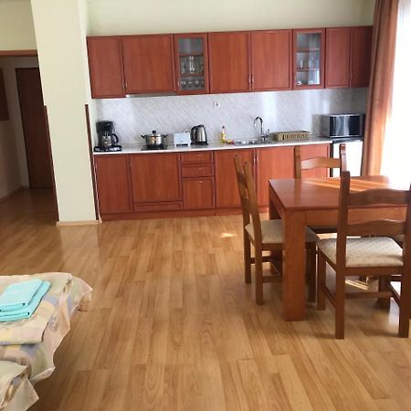 Predela Nadezhda Apartment バンスコ エクステリア 写真