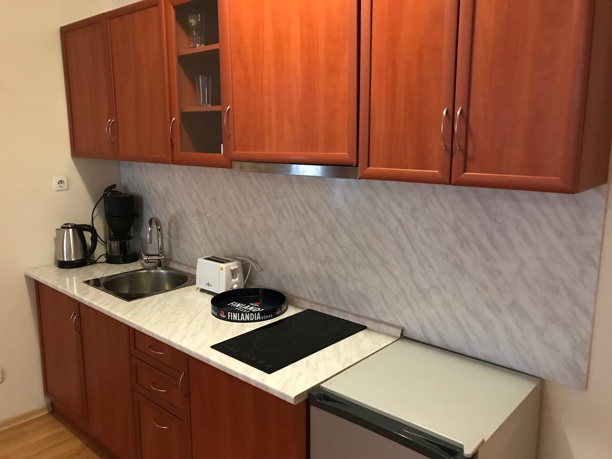 Predela Nadezhda Apartment バンスコ エクステリア 写真